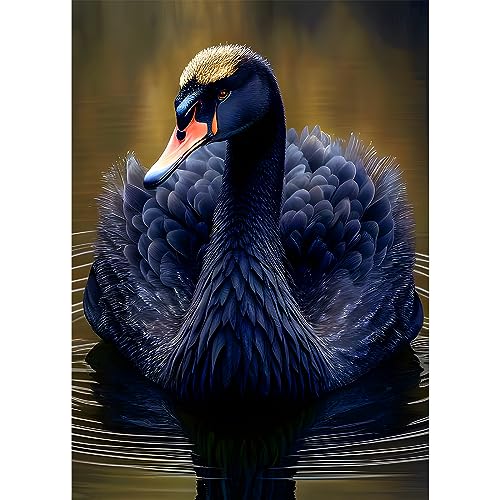 EOBROMD Diamond Painting Erwachsene Schwarzer Schwan, 5D Diamant Painting Bilder Erwachsene Tiere, DIY Diamond Painting Bilder Diamant Malerei Set für Wanddekoration 30x40cm von EOBROMD