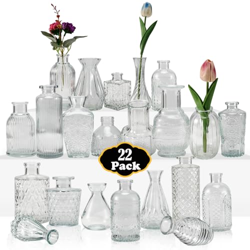 EOGRFW Kleine Vasen Set, 22 Stück Kleine Glasvase für Tischdeko, Verschiedene Größen Vintage Deko Vasen, Mini Vasens Deko Set für Hochzeitsdeko Tischdeko Mittelstücke von EOGRFW