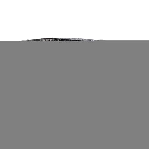 Bonsai Draht Aluminium Bonsai Trainingsdraht Flexible Formungswerkzeug für Bonsai -Bäume Garten Gartenbau Schwarz rostfeste Premium -Aluminiummaterial 500 g (1,0 mm) (1,5 mm) (2,0 mm) von EOJDDPA