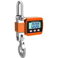 Hancaner lcd Digitale Display Crance Scale 0.05-500 kg tragbare industrielle elektronische Hochleistungs-Hakenkran mit Einheitenänderungsfunktion Hancaner lcd Digitale Display Crance Scale 0.05-500 kg tragbare industrielle elektronische Hochleistungs-Hakenkran mit Einheitenänderungsfunktion von EOSNOW
