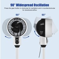 Oszillierender Ventilator 3 -Geschwindigkeit Ruhiger Sockelboden für Wohnzimmer im heimlichen Schlafzimmer stehen - Eosnow von EOSNOW