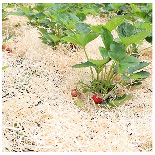 Gartenholzwolle Erdbeerholzwolle Holzwolle für Landwirtschaft 2kg von EP