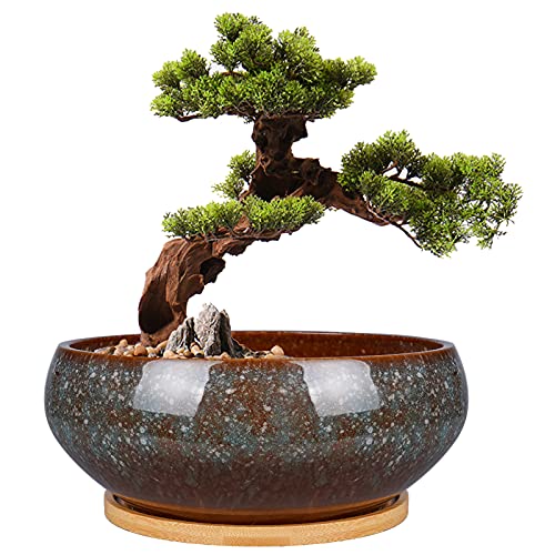 EPFamily Bonsai-Übertopf, Keramik, 20,3 cm, glasiert, flach, Sukkulenten-Übertopf mit Drainageloch und Bambus-Untersetzer für Zimmerpflanzen, Braun von EPFamily