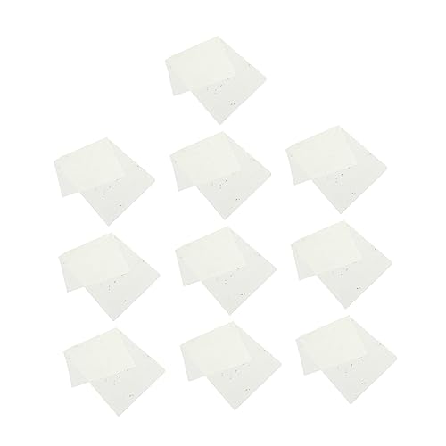 EPIGEIST 10 Blatt Chinesisches Kalligraphiepapier mit Getrocknetem Blumenmuster Professionelles Schreibpapier für Chinesische Pinselkunst Dekoratives Reispapier für Kalligrafie und Malerei von EPIGEIST
