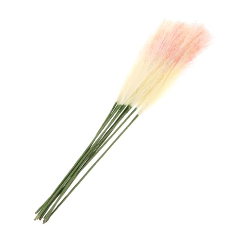 EPIGEIST 10 Stück künstliche Schilfblume Falsches Strauß Kunstblumen zum Basteln Trockenblumen für die Vase Material ewig gefälschte Pflanzendekoration dekoratives Trockengras Stoff Rosa EPIGEIST 10 Stück künstliche Schilfblume Falsches Strauß Kunstblumen zum Basteln Trockenblumen für die Vase Material ewig gefälschte Pflanzendekoration dekoratives Trockengras Stoff Rosa von EPIGEIST