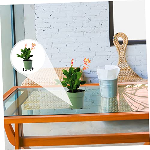 EPIGEIST 16 Stück Teiliges Rundes Gummipolster Stoßdämpfende Blumentopf unterlage rutschfest und Unsichtbar für Pflanzen und Blumentöpfe im Innen Außenbereich von EPIGEIST