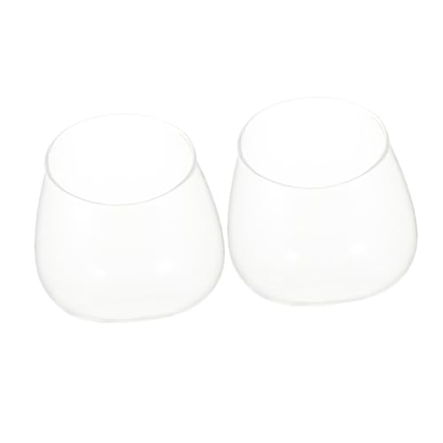 EPIGEIST 2 Stück Klare Glasvasen für Sukkulenten Schräger Rand Dekorative Terrarienvase Vielseitig als Kerzenhalter und Bonbonglas Langlebig für Innen und Außendekoration von EPIGEIST