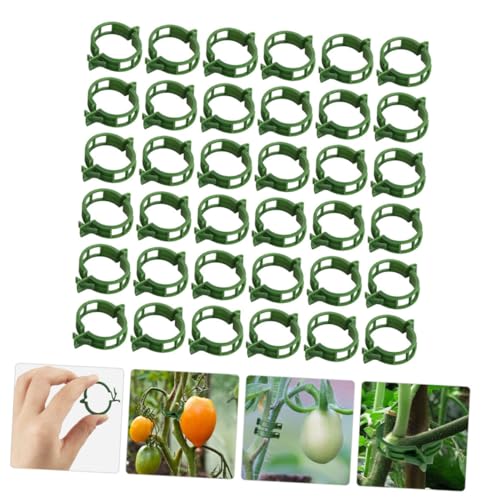 EPIGEIST 200 Stück Pflanzenclips aus Hochwertigem PP Kunststoff Grüne Gartenklemmen zur Tomaten Rankpflanzenbefestigung Schonende Pflanzenstützen für Gemüse Vielseitige Pflanzensicherung von EPIGEIST