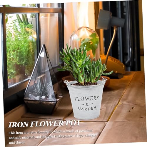 EPIGEIST 4 Stück Vintage Metall Blumentopf mit Griffen Multifunktionaler Retro Eisen Pflanzkübel für Innen und Außen für Sukkulenten Blumen Balkon Wohnzimmer und Garten Dekoration von EPIGEIST