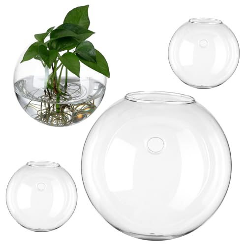EPIGEIST 4 Stück Wandvase aus Klarem Glas Rund für Innenbereiche Hängende Vermehrungsstation und Terrarium Pflanzenhalter Platzsparende Wanddekoration für Blumen und Sukkulenten EPIGEIST 4 Stück Wandvase aus Klarem Glas Rund für Innenbereiche Hängende Vermehrungsstation und Terrarium Pflanzenhalter Platzsparende Wanddekoration für Blumen und Sukkulenten von EPIGEIST