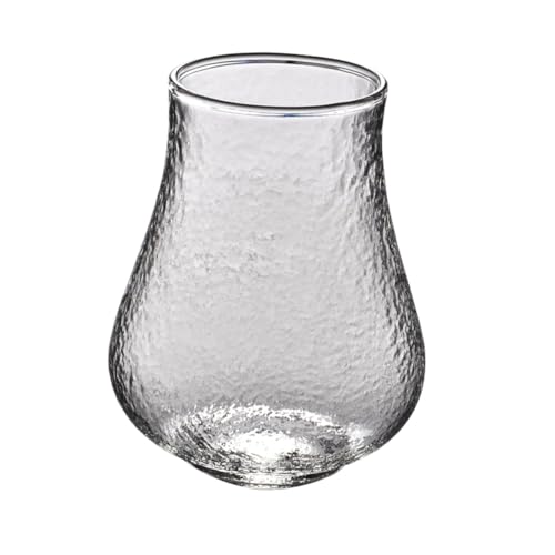 EPIGEIST Glasvase Zen Stil Dekorative Pflanzenvase für Tischdeko Kreative Hydrokultur Blumenvase aus Hochwertigem Glas Minimalistisches Design als Wohnraumdekoration und Geschenk von EPIGEIST