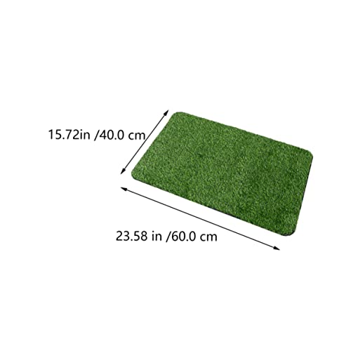 EPIGEIST Künstlicher Badvorleger rutschfeste Bodenmatte mit Wasseraufnahme Natürlichem Gras Design Pe Material Dekorativer Teppich für Wohnzimmer und Badezimmer Grün Weiß von EPIGEIST