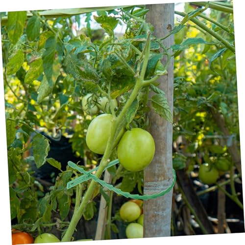 EPIGEIST Pflanzenclips Stabile Pflanzenstützklammern mit Flexiblen Bindebändern Robust für Tomaten Weinreben Blumen und Kletterpflanzen Einfacher Halt und Schnelle Anwendung im Garten von EPIGEIST