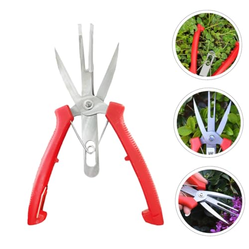EPIGEIST Pruning Shear Gartenschere mit Doppelmundigem Design Ergonomischer Kunststoffgriff Multifunktional für Obst Gemüse Blumen und Äste Zeitsparend und Einhändig Bedienbar für Garten EPIGEIST Pruning Shear Gartenschere mit Doppelmundigem Design Ergonomischer Kunststoffgriff Multifunktional für Obst Gemüse Blumen und Äste Zeitsparend und Einhändig Bedienbar für Garten von EPIGEIST