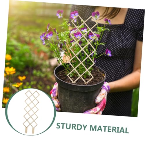 EPIGEIST Rankhilfe für Zimmerpflanzen mit Bienenwabenförmigem Klettergitter Wiederverwendbarer Pflanzenstützrahmen für Blumen Gemüse und Orchideen DIY klettergerüst Robust und Einfach zu EPIGEIST Rankhilfe für Zimmerpflanzen mit Bienenwabenförmigem Klettergitter Wiederverwendbarer Pflanzenstützrahmen für Blumen Gemüse und Orchideen DIY klettergerüst Robust und Einfach zu von EPIGEIST