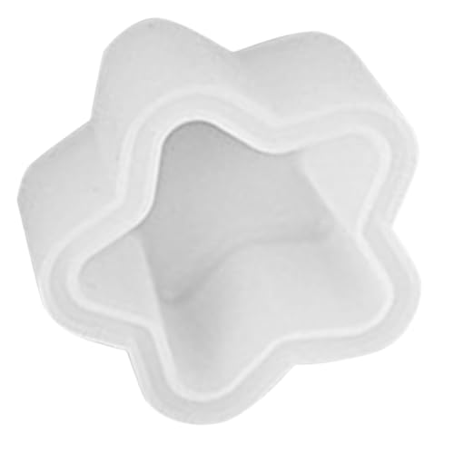 EPIGEIST Silikonform Stern Blumentopf Gießform DIY Vase und Stifthalter Bastelset Glatte Oberfläche Einfache Entformung und Reinigung Vielseitig für Individuelle Farbakzente und Kreative von EPIGEIST