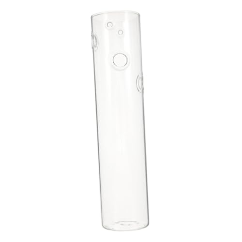 EPIGEIST Transparente Wandvase zum Hängen Hydroponischer Pflanzenhalter Modernes Design Platzsparend für Wohnzimmer und Bürodekoration Blumenvase für Bodenlose Pflanzenpflege EPIGEIST Transparente Wandvase zum Hängen Hydroponischer Pflanzenhalter Modernes Design Platzsparend für Wohnzimmer und Bürodekoration Blumenvase für Bodenlose Pflanzenpflege von EPIGEIST