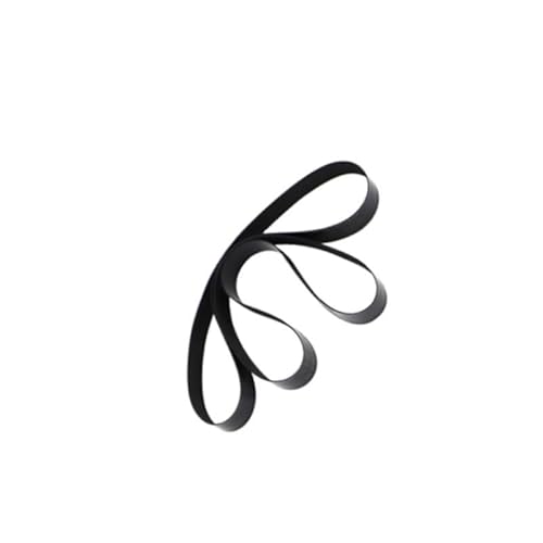 EPKFHNFX 1Set Transferband Papierausgang 2Stk 629-93810 for R-iso Verwendung in TR 1000 1510 1530 1550 CR 1600 1610 1630 1640 KS 500C 600C 800C(1Set) von EPKFHNFX