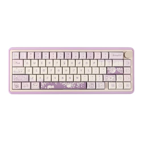 EPOMAKER CIDOO Nebula 65% BT/2,4 GHz/Typ-C Mechanische Tastatur, die VIA und Hot-Swap unterstützt, mit NKRO, nach Süden RGB-Backlight, PBT-Tastenkappen, für Win/Mac (Purple, CIDOO Carda Switch) von EPOMAKER