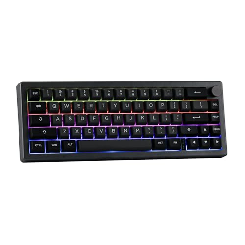 EPOMAKER EK68 65% Gasket NKRO Mechanische Tastatur, Hot Swappable Dreifach-Modus Gaming-Tastatur mit 3000mAh Akku, RGB-Beleuchtet für Büro/Home/Win/Mac (Black Silver, Budgerigar Switch) von EPOMAKER