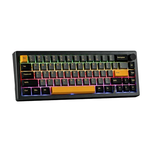 EPOMAKER EK68 65% Gasket NKRO Mechanische Tastatur, Hot Swappable Triple Mode Wired Wireless Gaming-Tastatur mit 3000mAh Akku, RGB-Hintergrundbeleuchtung für Büro/Home/Win/Mac(Budgerigar Switch) von EPOMAKER