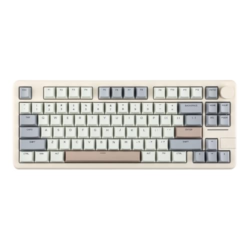 EPOMAKER Galaxy70 Aluminium Mechanische Gaming-Tastatur Kabellos, Thocky Hot Swap Gaming-Tastatur 75%, Bluetooth/2.4GHz/USB, Programmierbare Tasten & RGB (Weiß Grau, Zebra Linear Switch) von EPOMAKER
