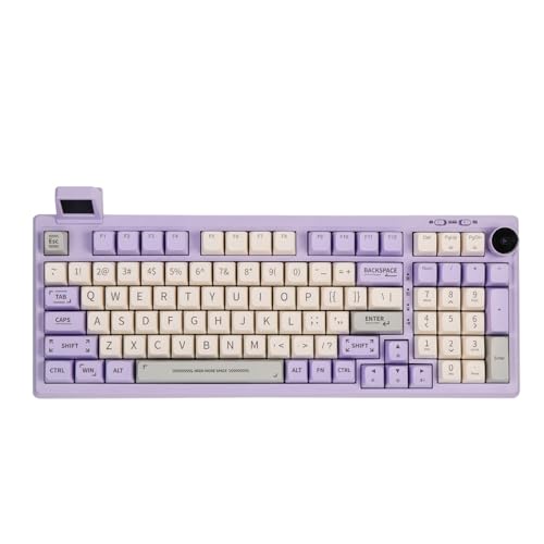 EPOMAKER RT100 Mechanische Tastatur Gasket mit anpassbarem Display, Bluetooth/2.4G/USB, Drehregler, Hot Swap, 5000mAh Akku, RGB für Win/Mac/Gaming (Purple (US QWERTY), Gateron Pro Yellow) von EPOMAKER