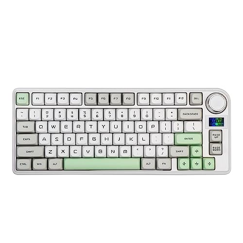 EPOMAKER TH80-X Gasket Mechanische Tastatur, 75%% Layout Hot-swap mit 4000mAh Akku, LCD Bildschirm, NKRO, RGB für Gaming/Office/Win/Mac (TH80-X Gray, Gateron Pro Yellow) von EPOMAKER