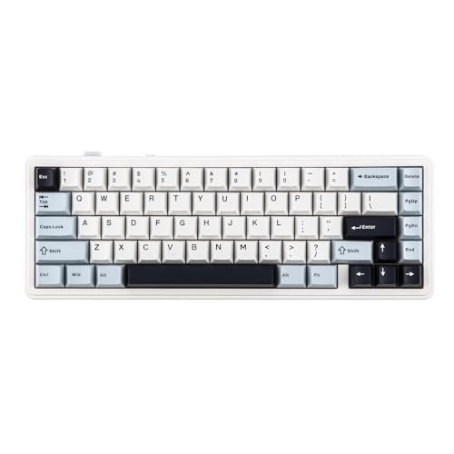 EPOMAKER x Aula F65 Mechanische Tastatur Kabellose, Custom Gaming Tastatur Gasket mit Hot-Swap-fähige, RGB, Bluetooth/2,4 GHz/Kabel, geschmierte lineare Schalter (Eisiges Blau, Reaper Switch) von EPOMAKER