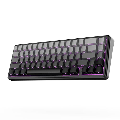 EPOMAKER x Aula F65 Mechanische Tastatur Kabellose, Custom Gaming Tastatur Gasket mit Hot-Swap-fähige, RGB, Bluetooth/2,4 GHz/Kabel, geschmierte lineare Schalter (Ombre Schwarz, Reaper Switch) von EPOMAKER