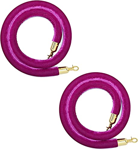 EPYBJYWQ Samtkordel 2PCS Warteschlangenseil for VIP-Kanäle, Crowd Control Seilbarriere mit goldfarbenen Haken, 9.8/8.2/6.5/4.9 Ft(Purple,4.5m/14.7ft) von EPYBJYWQ
