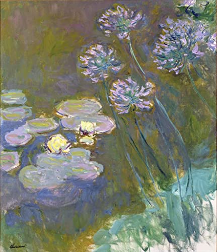 EQVRDCUW Ölgemälde Leinwand Malerei Poster Leinwand Plakat Seerosen und agapanthus von claude monet Leinwandbilder Bild für Wanddekoration 60x90cm von EQVRDCUW
