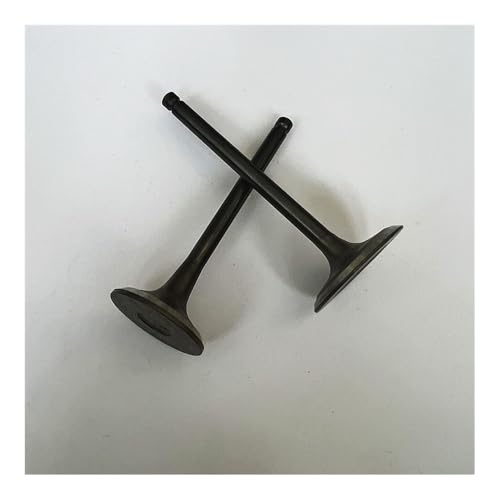 1. Set passend for EX40 I4 E4 Motorgenerator Einlass Auslass Einlass von ERDHFG