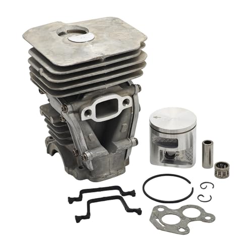 41mm Zylinder Kolben Lager Kit Fit for 435 440 440e Kettensäge Motor Motor Garten Werkzeug Teile 41mm Zylinder Kolben Lager Kit Fit for 435 440 440e Kettensäge Motor Motor Garten Werkzeug Teile von ERDHFG