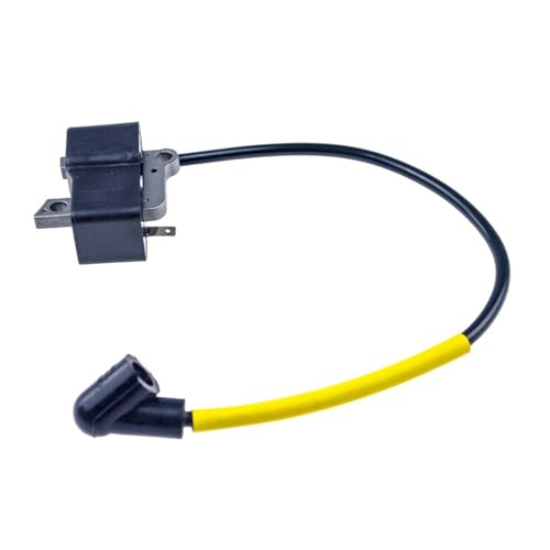 5374187-01 Zündspule Modul Fit for 223L 223R 323C 323L 323P 323R 323RJ 325LDX 325RJX 325RX 326AI 326ES 326LDX von ERDHFG