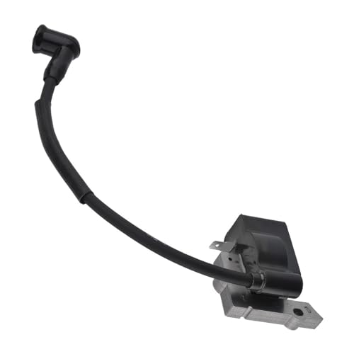 578287001 545215801 545081826 Zündspule Fit for BV24 T210 HG55 B250B B250L T330 Mac250B 250B von ERDHFG