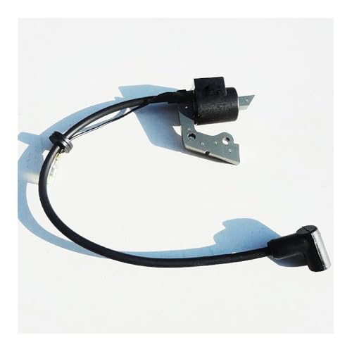 EY15 Zündspule Passend for EU15 208 3,5 PS 4T Motor MAGNETZÜNDGERÄT 226-70132-08 von ERDHFG