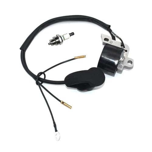 Ignition Module with Spark Plug BM6A Fit for FS400 FS450 FS480 FR450 FR480 SP400 SP450 FR480C #4128 400 1306 von ERDHFG