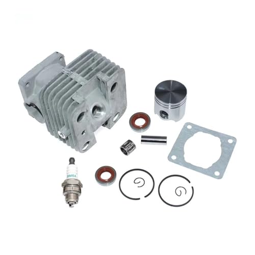 Zylinderkolbensätze 35 MM Passend for Freischneider-Schnecke BT120 BT120C BT121 BT121Z FS120 FS120R 4134 020 1213 von ERDHFG