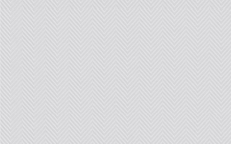 ERFURT Vliestapete ERFURT VLIESFASER PROTECT 207 Vliestapete 10,05 x 0,53m, maritime Struktur, Sehr gute Untergrundabdeckung von ERFURT