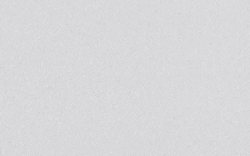 ERFURT Vliestapete VLIESFASER PROTECT 210 Vliestapete 10,05 x 0,53m, sandige Struktur, Sehr gute Untergrundabdeckung von ERFURT