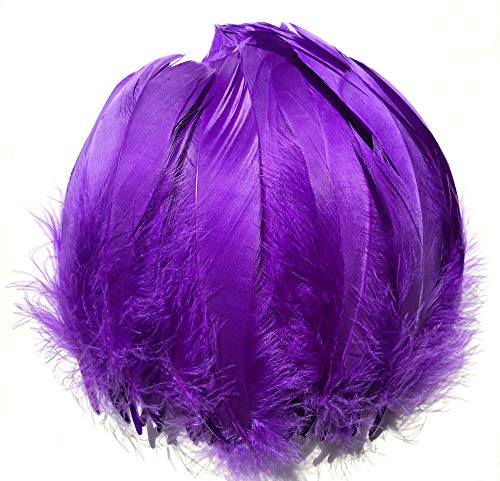 ERGEOB® Echte große Gänsefedern in Lila / 15-22cm Federnlänge, 100 Stück pro Verpackung, 21 Farbvarianten, Fasching, Karneval, Basteln, Dekoration, Hochzeit,... von ERGEOB