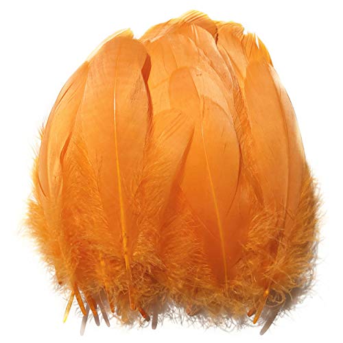 ERGEOB® Echte große Gänsefedern in Orange / 15-22cm Federnlänge, 100 Stück pro Verpackung, 21 Farbvarianten, Fasching, Karneval, Basteln, Dekoration, Hochzeit. von ERGEOB