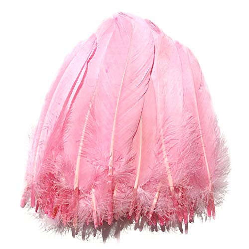 ERGEOB® Echte große Gänsefedern in Pink / 15-22cm Federnlänge, 100 Stück pro Verpackung, 21 Farbvarianten, Fasching, Karneval, Basteln, Dekoration, Hochzeit. von ERGEOB