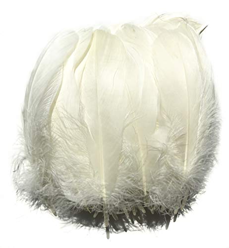 ERGEOB® Echte große Gänsefedern in Warmweiß / 15-22cm Federnlänge, 100 Stück pro Verpackung, 21 Farbvarianten, Fasching, Karneval, Basteln, Dekoration, Hochzeit,... von ERGEOB