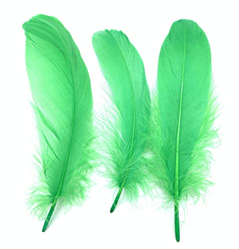 ERGEOB® Echte große Gänsefedern mit 15-22cm Federnlänge - 100 Stück pro Verpackung, 21 Farbvarianten, Fasching, Karneval, Basteln, Dekoration, Hochzeit. (07 Dgrün) von ERGEOB