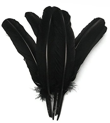 ERGEOB 20 stück Truthahnfedern basteln federn Bogen federn ERGEOB 20-30cm schwarz von ERGEOB