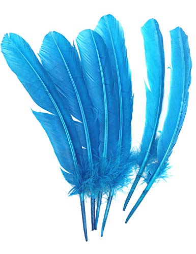 ERGEOB 20 stück Truthahnfedern basteln federn Bogen federn ERGEOB 20-30cm Hellblau ERGEOB 20 stück Truthahnfedern basteln federn Bogen federn ERGEOB 20-30cm Hellblau von ERGEOB