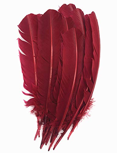 ERGEOB 20 stück Truthahnfedern basteln federn Bogen federn ERGEOB 20-30cm Weinrot von ERGEOB