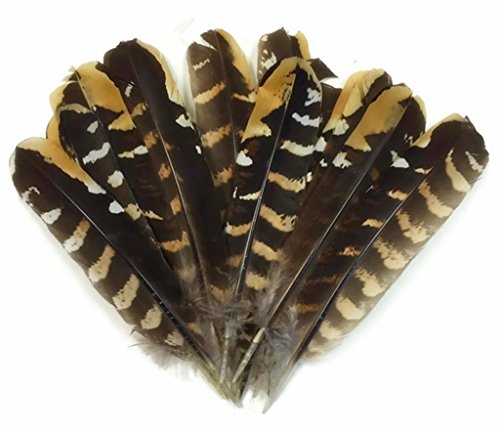 ERGEOB Hähnchen Federn 15-20 cm/ 6-8 Zoll länge hohe Bodenhühnerstall Federn geflügel natürlichen Haarstruktur 50/100/200 stück von ERGEOB